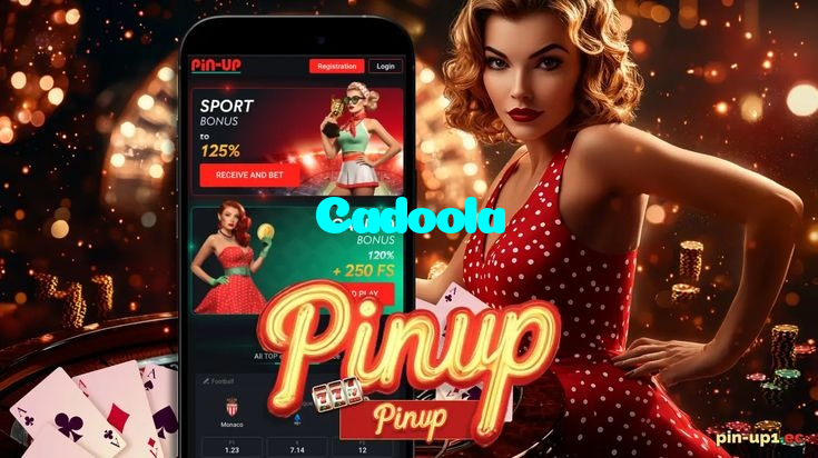 available types of Cadoola bet including pre-match live express and system bets